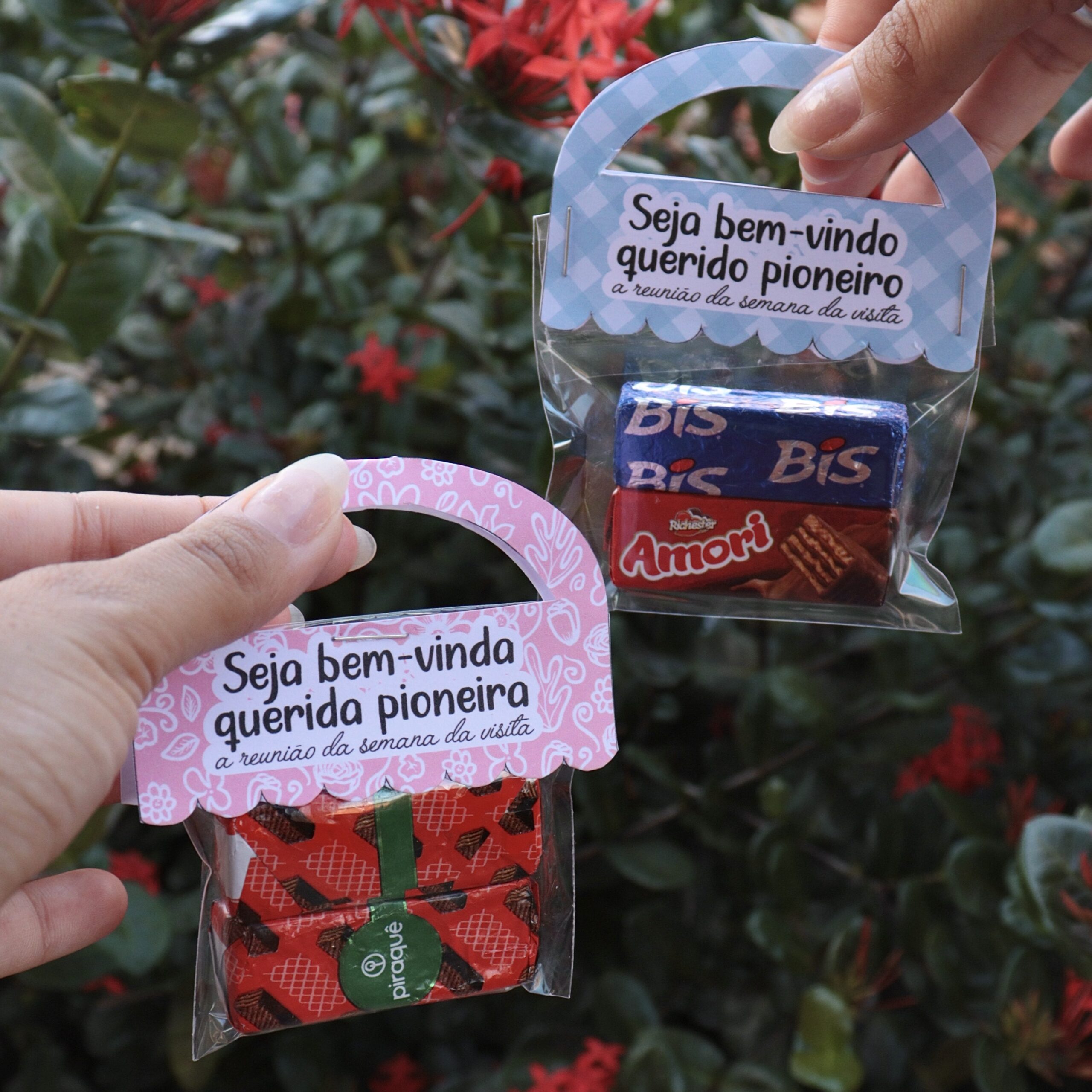 Bolsa seja bem vindo pioneiro - Imagem 3