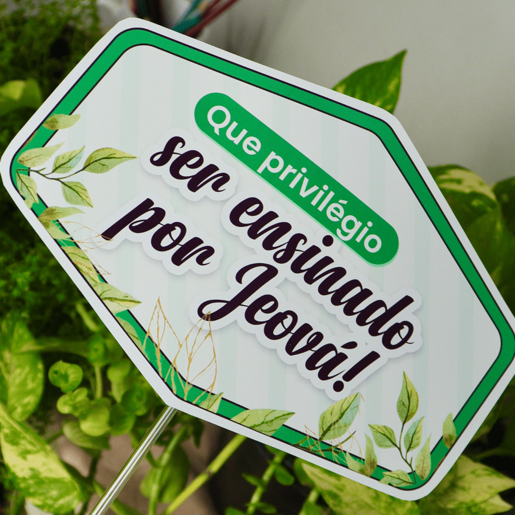 12 plaquinhas Escola de pioneiros