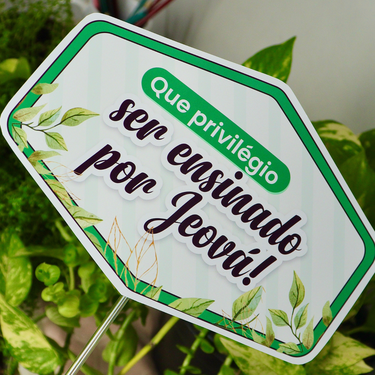 12 plaquinhas Escola de pioneiros - Imagem 10