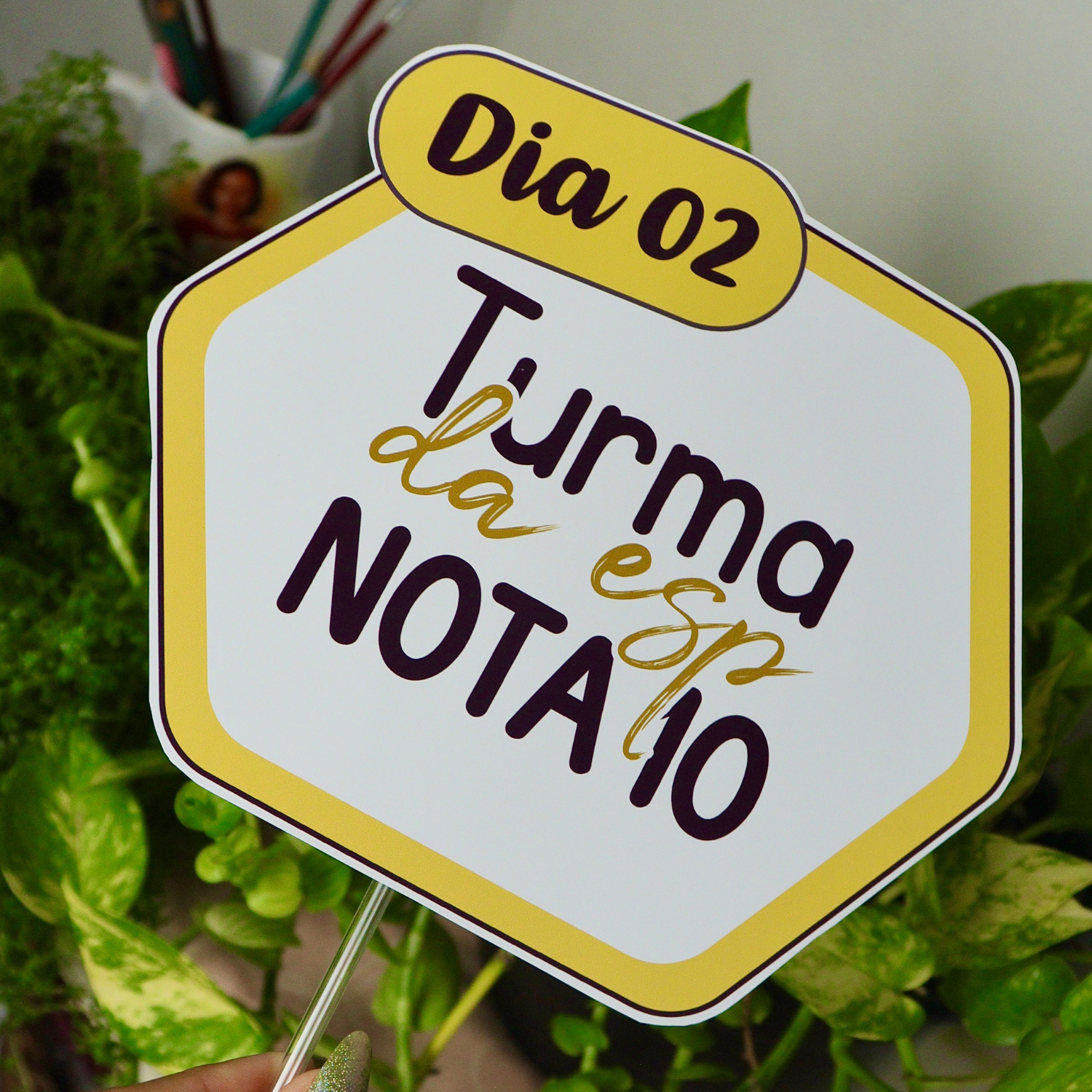 12 plaquinhas Escola de pioneiros - Imagem 3