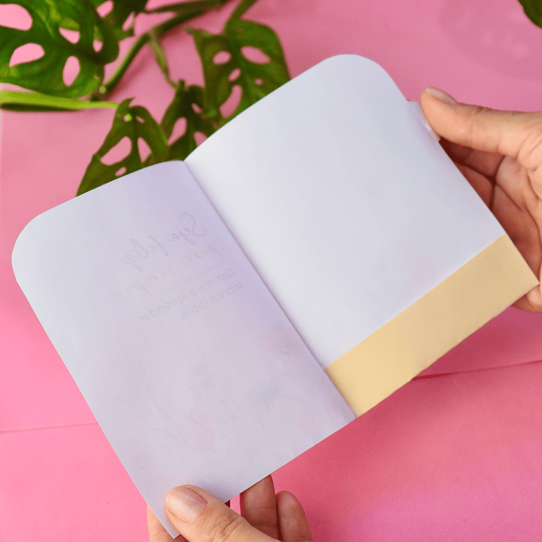 Carta + envelope CAMPANHA - Imagem 2