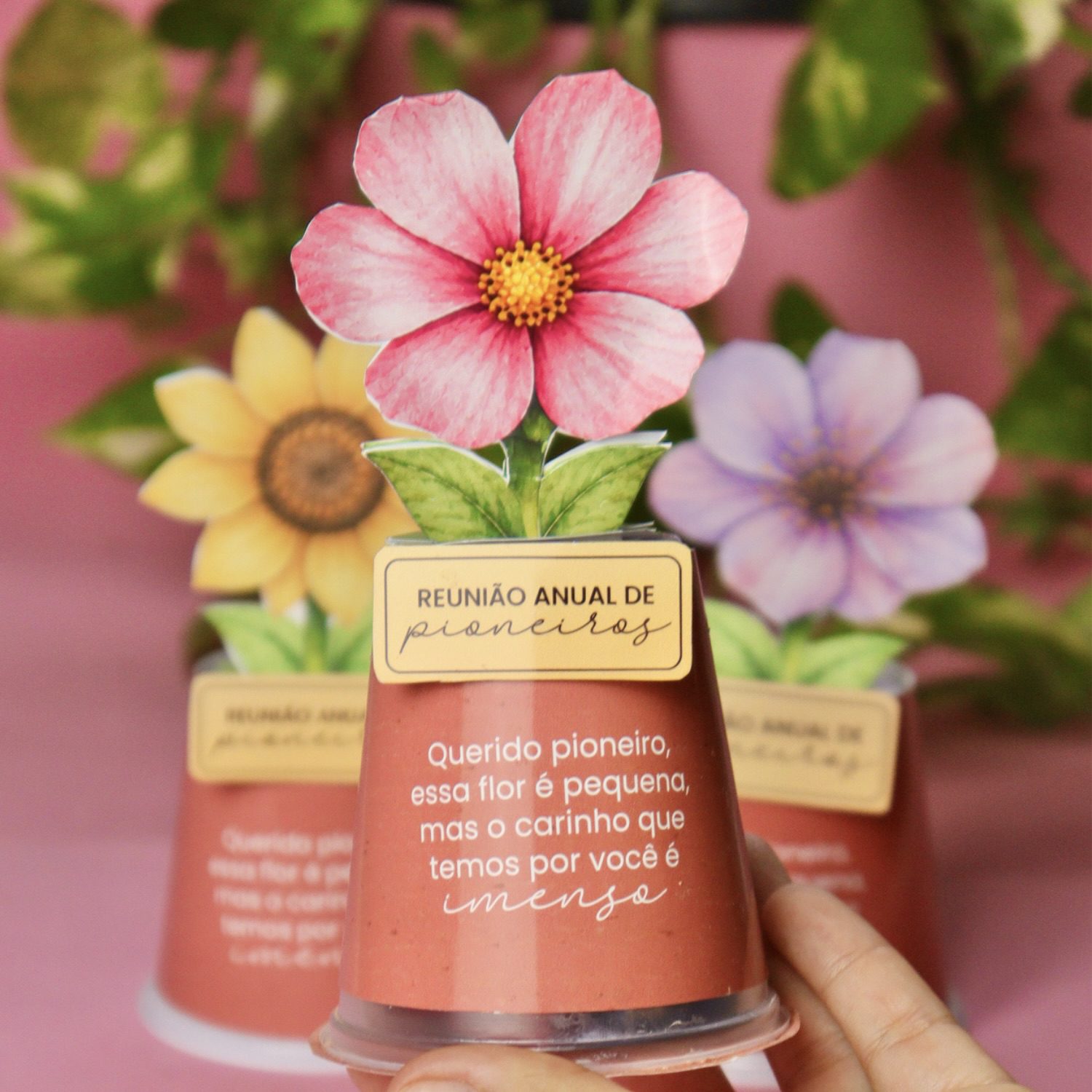 Mimo flor - Imagem 1